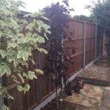 New Fence installed in Dogsthorpe